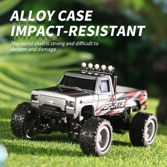 Mini RC Monster Truck